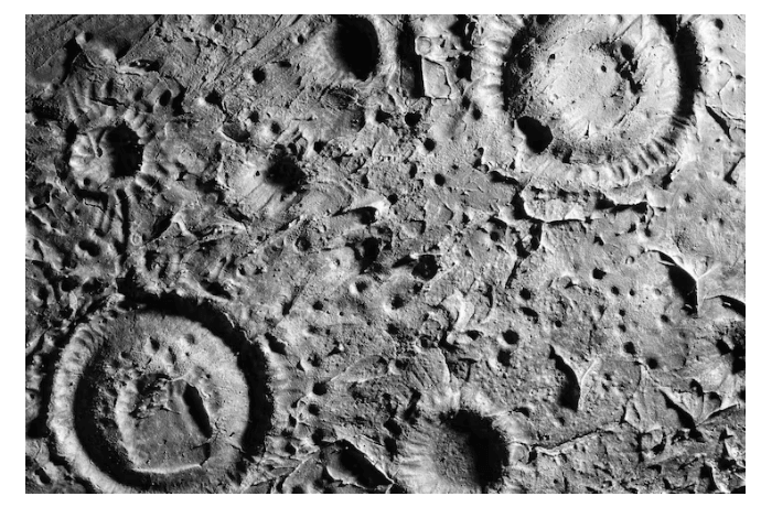 moon land