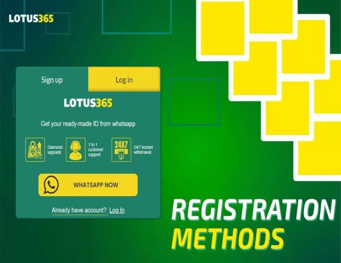 Lotus365's Content Localization Strategy